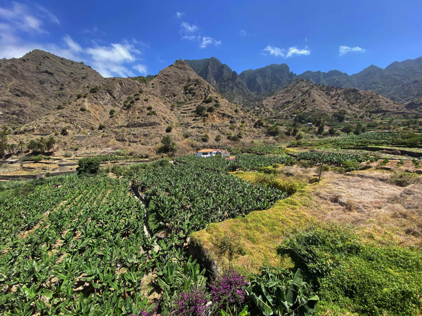 El Ayuntamiento de Hermigua destina 60.000 euros a la Comunidad de  Regantes para apoyar al sector agrícola 